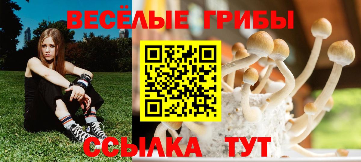 Ахтубинск  продажа наркотиков  Галлюциногенные грибы Magic Shrooms  Вход с VPN  Псилоцибиновые грибы мухоморы 