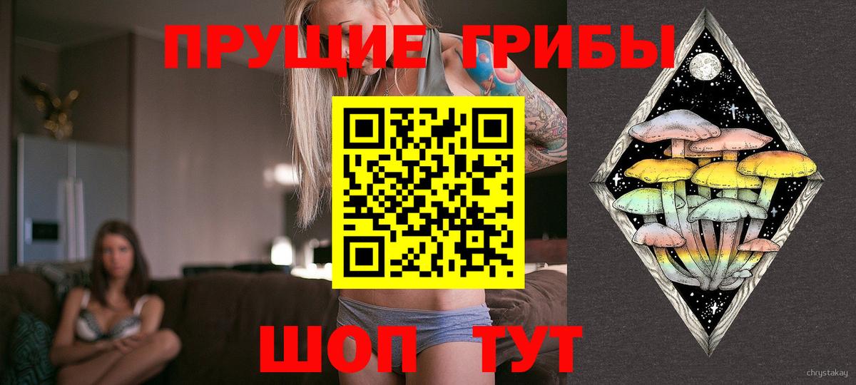 Псилоцибиновые грибы Psilocybine cubensis Ахтубинск